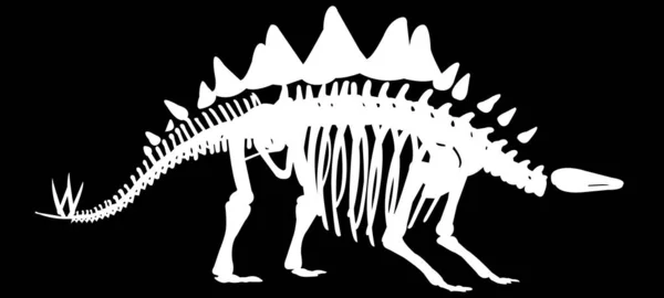 White Dinosaur Skeleton Black Background — Stock Vector