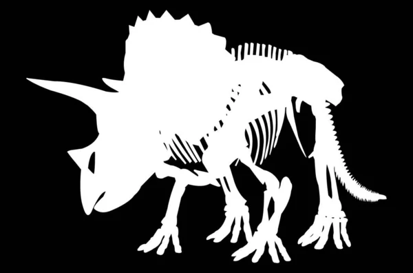 Beyaz Triceratops Dinozor Iskelet Çizimi — Stok Vektör