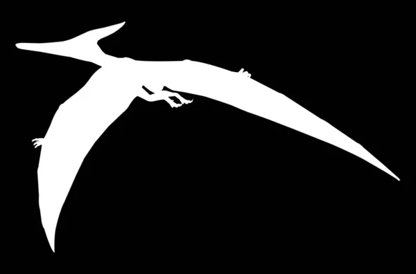 Witte Silhouet Dinosaurus Pterodactyl Vector Illustratie — Stockvector