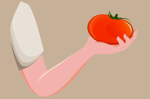 Tangan Memegang Tomat Matang - Stok Vektor