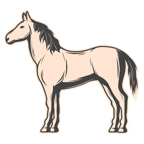 Стоячий Спокійний Кінь Векторна Ілюстрація — стоковий вектор