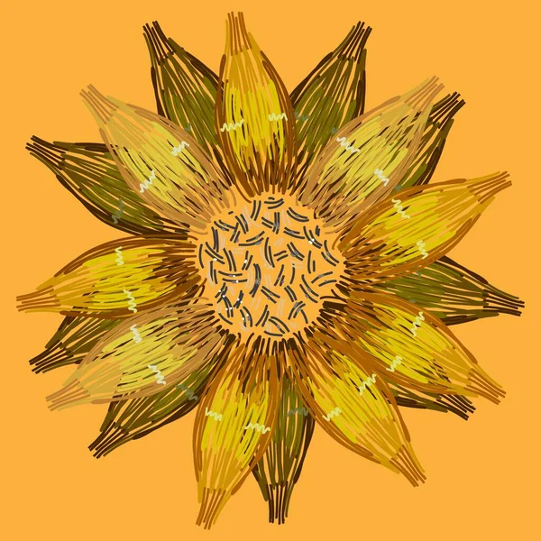 黄色开花向日葵矢量图解 — 图库矢量图片