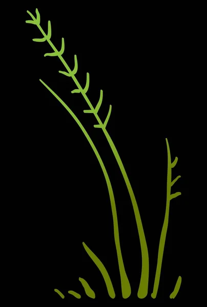 Herbe Verte Pour Illustrations Nature — Image vectorielle
