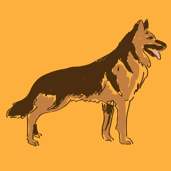 Hund Ras Tysk Herde Vektor Illustration — Stock vektor