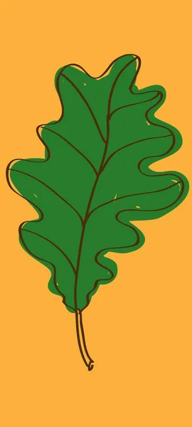 Illustration Vectorielle Feuille Chêne Vert — Image vectorielle