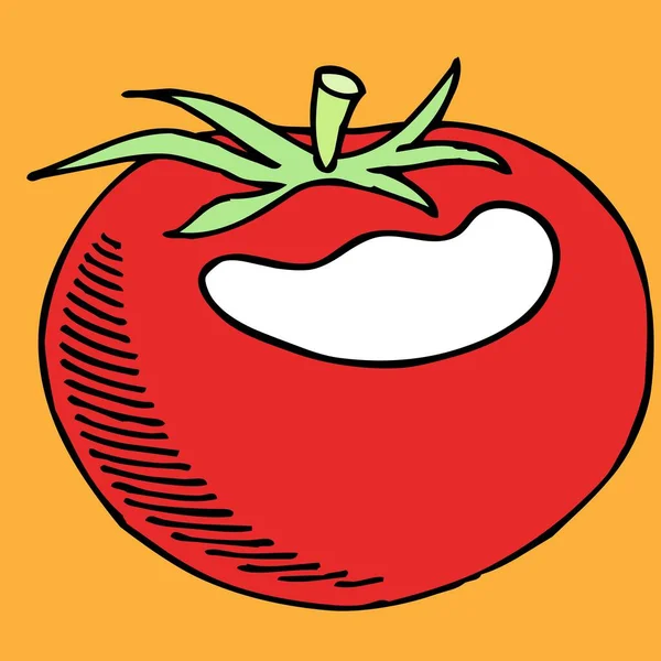 Illustration Vectorielle Tomate Ronde Mûre — Image vectorielle