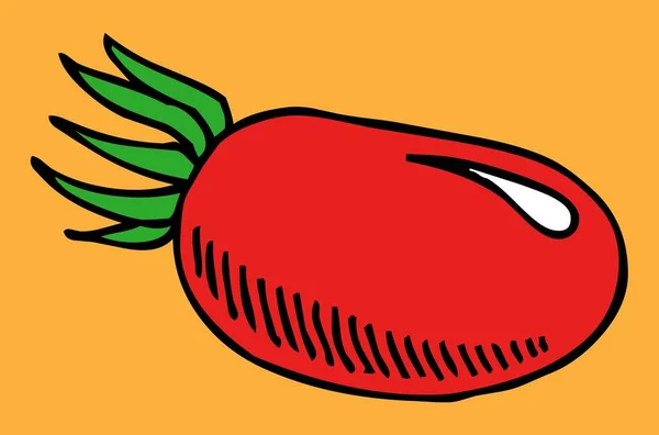 Tomate Längliche Form Vektor Illustration — Stockvektor