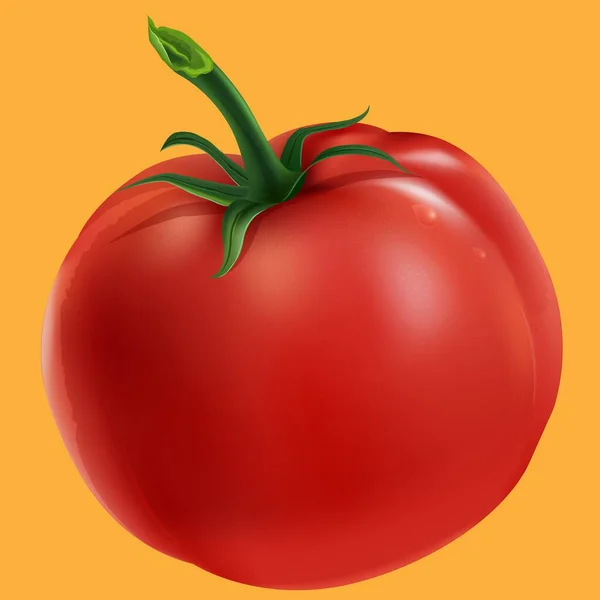 Rote Reife Tomaten Vektor Illustration — Stockvektor