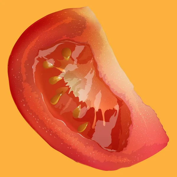 성숙한 토마토 — 스톡 벡터
