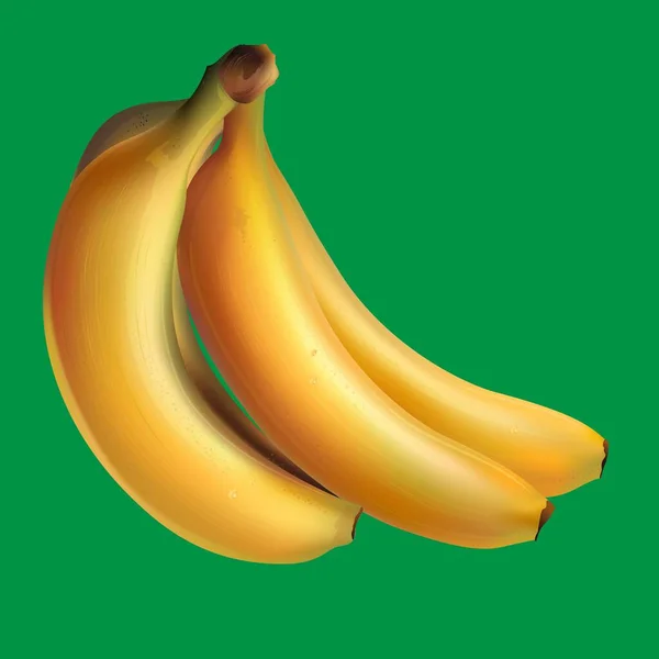 Mazzo Banane Mature Gialle — Vettoriale Stock