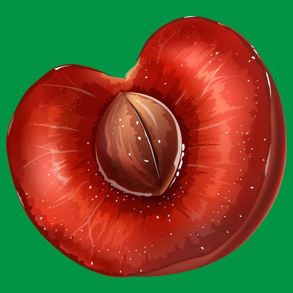 Cerise Rouge Vif Mûre Avec Une Pierre Dans Une Section — Image vectorielle