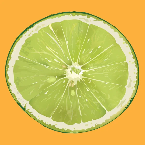 Lime Mûre Juteuse Dans Coupe — Image vectorielle