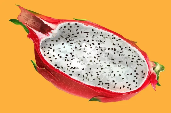 Ώριμα Φρούτα Δράκου Λευκή Πούλπα — Διανυσματικό Αρχείο