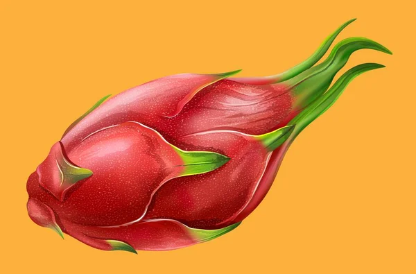 Ώριμα Κόκκινα Φρούτα Δράκος Διανυσματική Απεικόνιση — Διανυσματικό Αρχείο