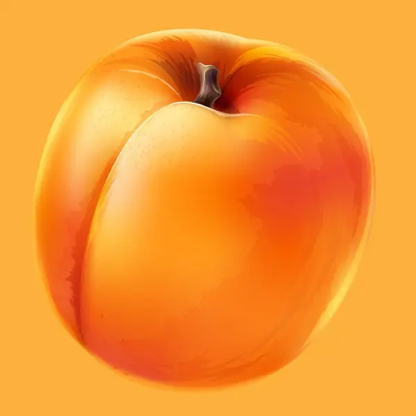 Illustration Vectorielle Pêche Mûre Orange — Image vectorielle