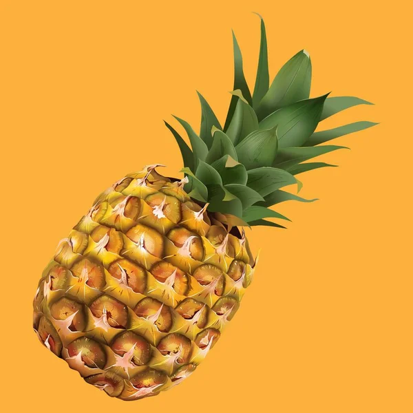 Ananas Maturo Sfondo Arancione — Vettoriale Stock