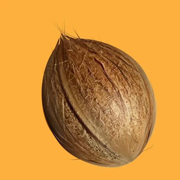 成熟椰子 橙色背景 — 图库矢量图片