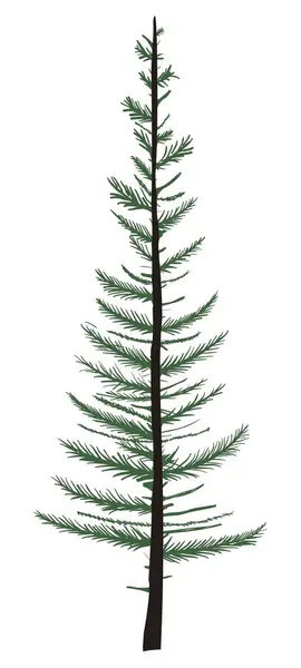 Uma Imagem Simples Uma Árvore Natal Não Exuberante — Vetor de Stock