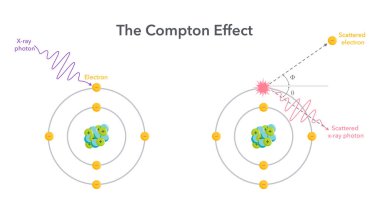 Compton Efekti kuantum teorisi vektör çizimi diyagramı