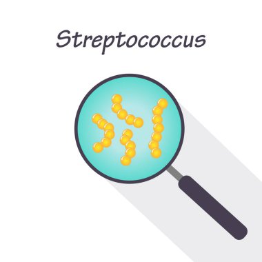 Büyüteç ve Streptococcus 'un Vektör İllüstrasyonu