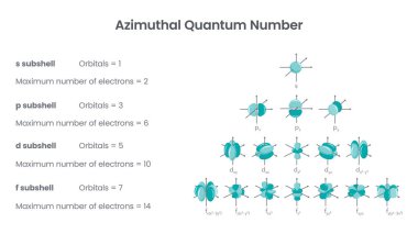 Azimuthal kuantum sayısı açısal ölçüm fiziği vektör çizimi diyagramı