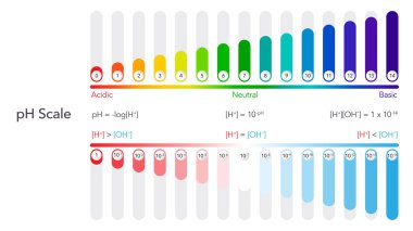 pH scale scientific vector illustration graphic clipart