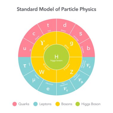 Parçacık Fiziği vektör çizelgesinin Standart Modeli