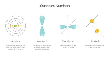 Kuantum numaraları fizik vektörü illüstrasyon bilgisiName