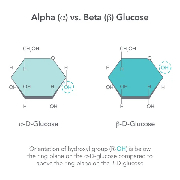 Alfa, Beta Glikoz Kimya Vektörü Çizim diyagramına karşı