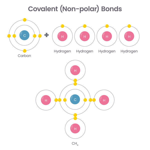 Covalent non-polar chemical bonds education vector illustration infographic