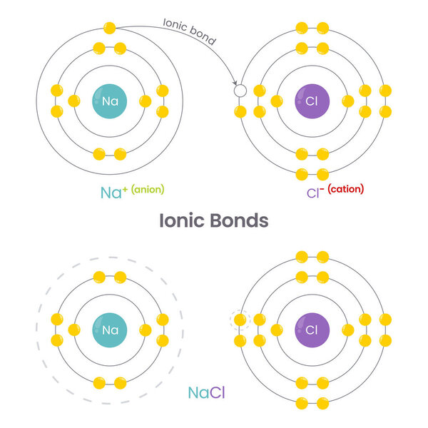 Инфографика векторного образования химических облигаций