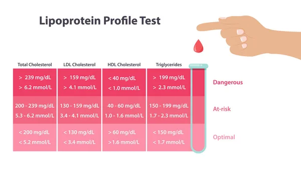 Lipoprotein kolesterol profil vektör çizimi tıbbi bilgi