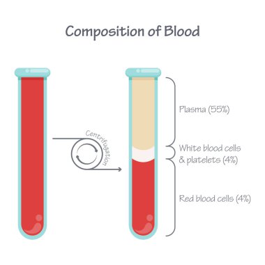 Santrifüjden sonra kanın bileşimi bilimsel vektör çizimi grafiği 