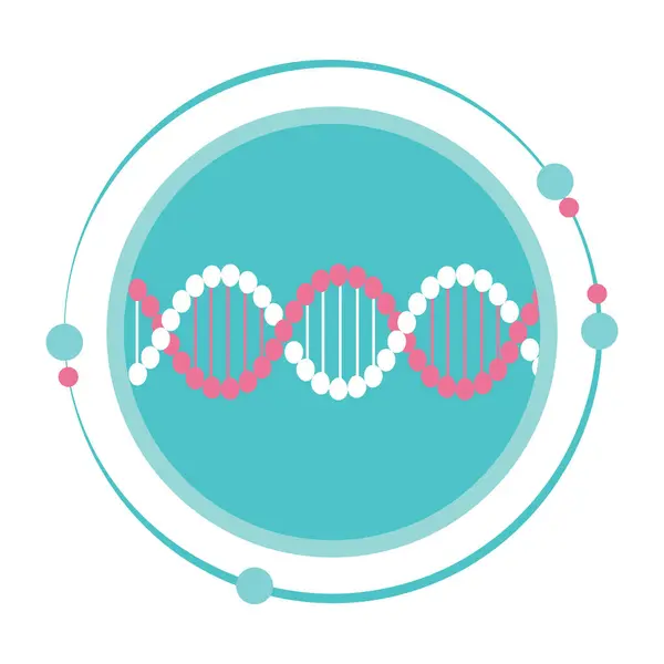 stock vector DNA double helix genetics vector illustration graphic icon