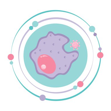 Makrofaj monosit beyaz kan hücresi vektör resimleme grafik simgesi