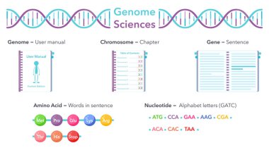 Genome Sciences educational vector illustration graphic analogy to user manual or book clipart