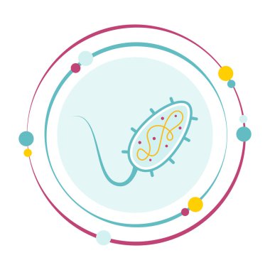 Biyoloji prokaryotik bakteri vektör resimleme grafik simgesi