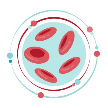Red blood cells vector illustration graphic icon symbol clipart