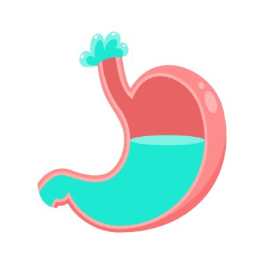 Asitler abdominal sıvı vektör çizelgesi