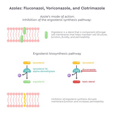 Azoles fluconazole, voriconazole, clotrimazole antifungal drugs clipart