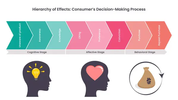 stock vector Hierarchy of Effects business and marketing vector