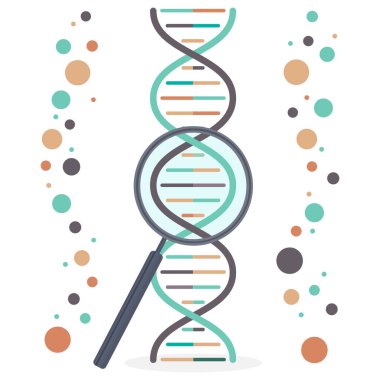 Beyaz arka planda DNA ve büyüteç. Düz biçimli vektör illüstrasyonu.