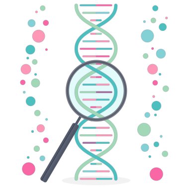 Beyaz arka planda DNA ve büyüteç. Düz biçimli vektör illüstrasyonu.