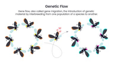 Genetic Flow scientific vector illustration graphic clipart