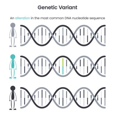 Genetik Değişken Eğitim Bilimi Vektörü Çizimi