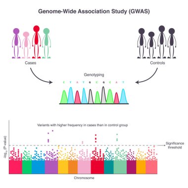 A genome-wide association study (GWAS)