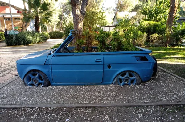 Dekoracyjny Niebieski Samochód Parkingu Piękne Rośliny — Zdjęcie stockowe