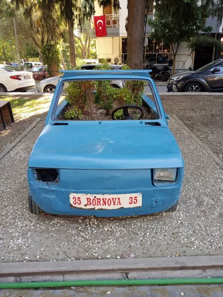 Beautiful Plants Decorative Blue Car — Stock Photo, Image