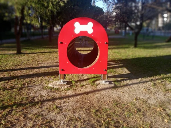 Zona Juegos Para Perros Túnel Rojo Madera —  Fotos de Stock