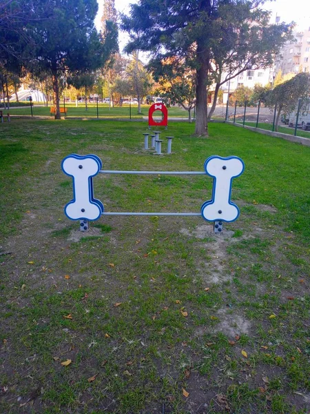 Playground Dogs Jump Platform — Stock Photo, Image